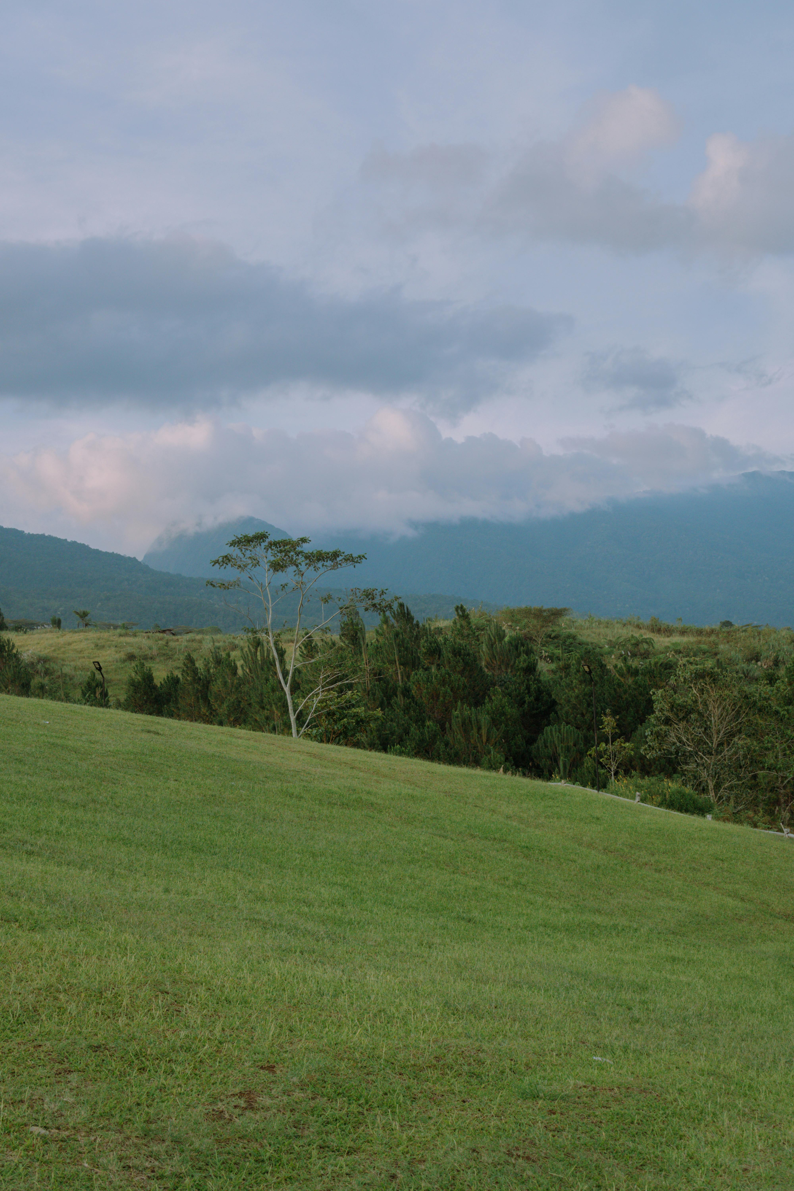 Lush green hillside under a cloudy sky